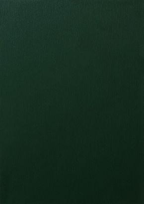 RENOLIT EXOFOL Dark Green 6125 